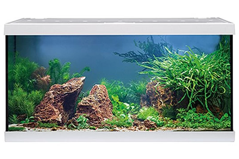 EHEIM Aquastar 54 LED Weiß - Aquarienset 1 EHEIM Aquastar 54 LED Weiß - Aquarienset