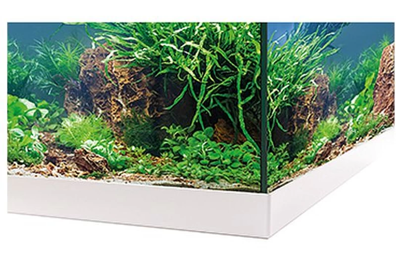 EHEIM Aquastar 54 LED Weiß - Aquarienset 2 EHEIM Aquastar 54 LED Weiß - Aquarienset – Bild 2