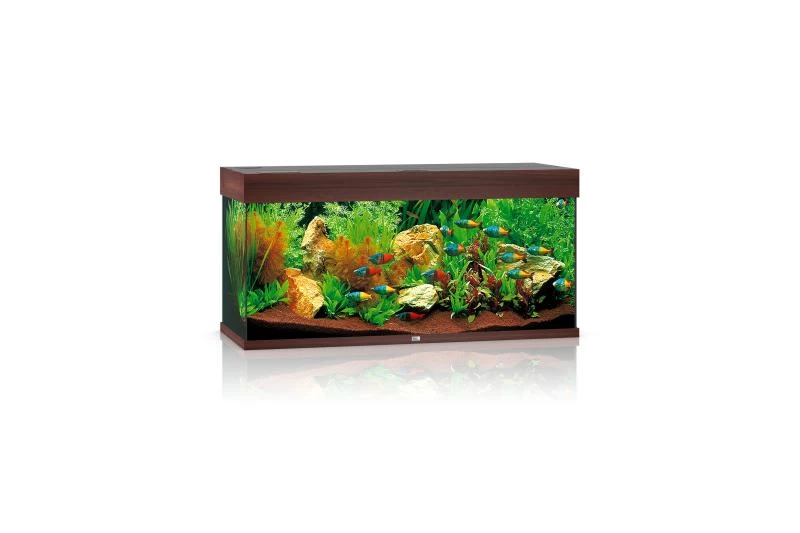 Juwel Rio Aquarium 180 LED, Dunkles Holz 1 Juwel Rio Aquarium 180 LED, Dunkles Holz